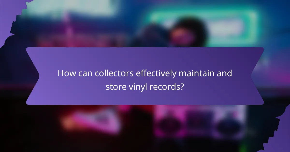 How can collectors effectively maintain and store vinyl records?