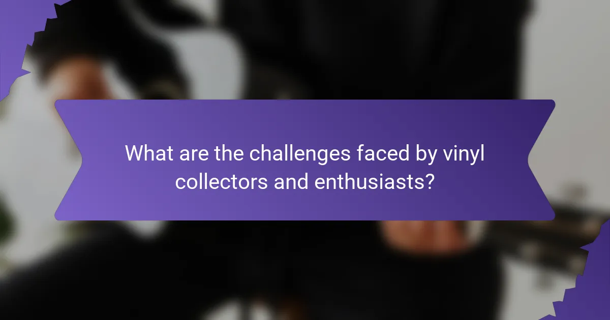 What are the challenges faced by vinyl collectors and enthusiasts?